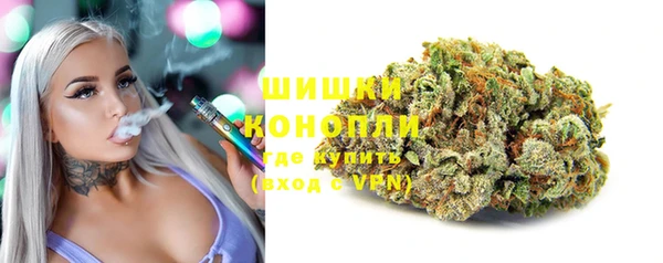 гашик Михайловск
