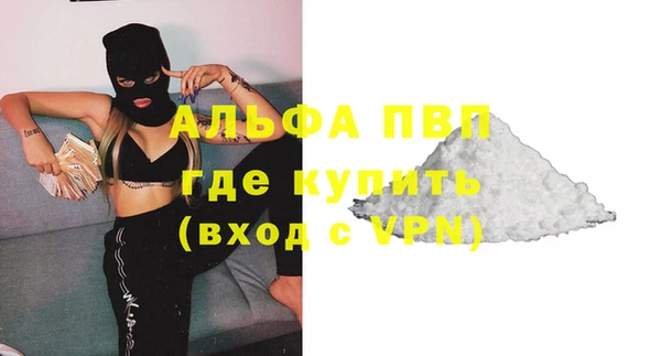 гашик Михайловск