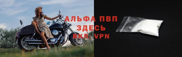 гашик Михайловск