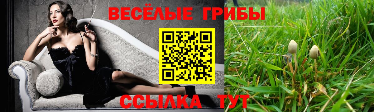 Галлюциногенные грибы Psilocybine cubensis  что такое наркотик  Рубцовск 